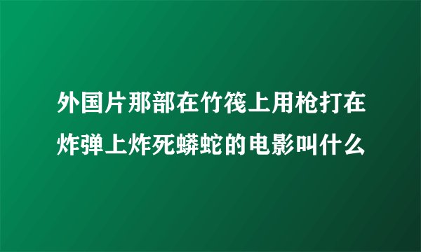 外国片那部在竹筏上用枪打在炸弹上炸死蟒蛇的电影叫什么