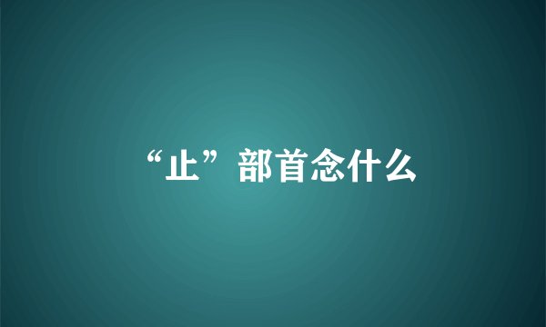 “止”部首念什么