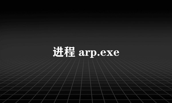 进程 arp.exe
