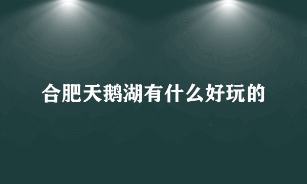 合肥天鹅湖有什么好玩的