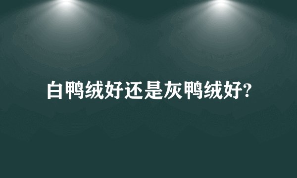 白鸭绒好还是灰鸭绒好?