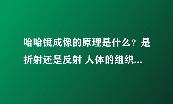 哈哈镜成像的原理是什么？是折射还是反射 人体的组织血液这一部分内容的重点可以帮我提一下吗？