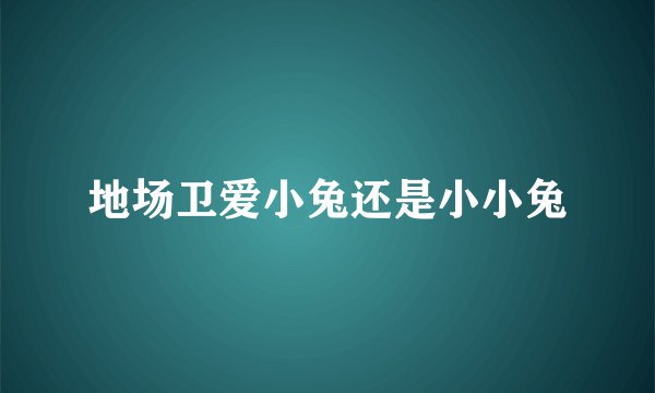 地场卫爱小兔还是小小兔