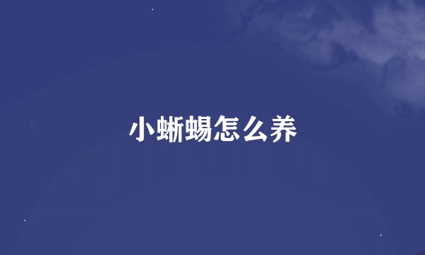 小蜥蜴怎么养