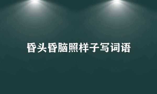 昏头昏脑照样子写词语