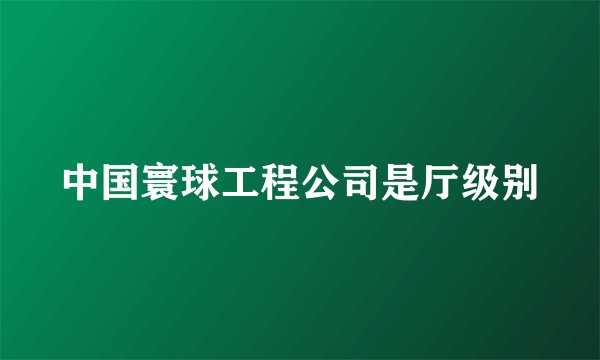 中国寰球工程公司是厅级别