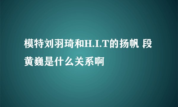 模特刘羽琦和H.I.T的扬帆 段黄巍是什么关系啊