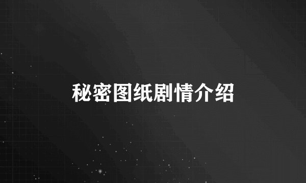 秘密图纸剧情介绍
