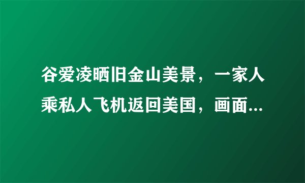 谷爱凌晒旧金山美景，一家人乘私人飞机返回美国，画面中哪些细节值得关注？