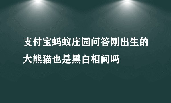 支付宝蚂蚁庄园问答刚出生的大熊猫也是黑白相间吗