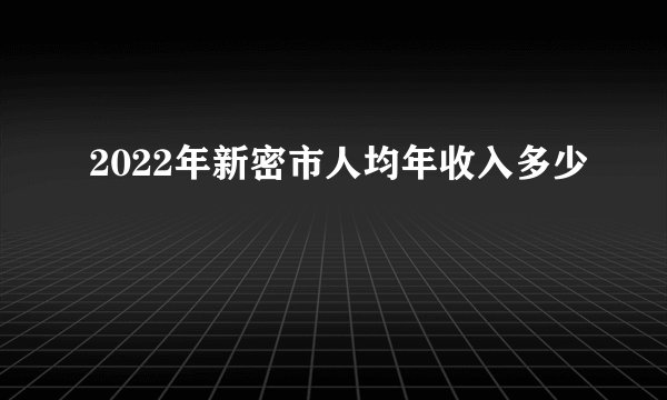 2022年新密市人均年收入多少