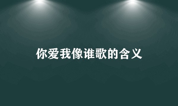 你爱我像谁歌的含义