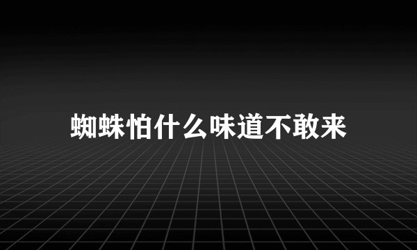 蜘蛛怕什么味道不敢来