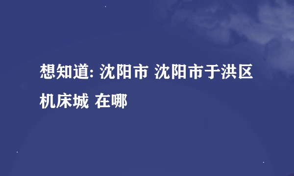想知道: 沈阳市 沈阳市于洪区机床城 在哪
