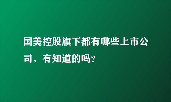 国美控股旗下都有哪些上市公司，有知道的吗？