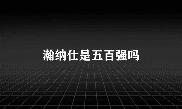 瀚纳仕是五百强吗