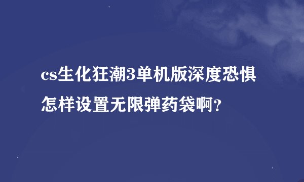 cs生化狂潮3单机版深度恐惧怎样设置无限弹药袋啊？