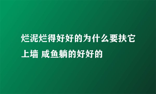 烂泥烂得好好的为什么要扶它上墙 咸鱼躺的好好的