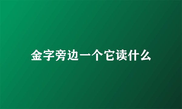 金字旁边一个它读什么