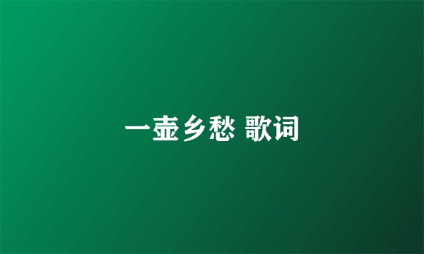 一壶乡愁 歌词