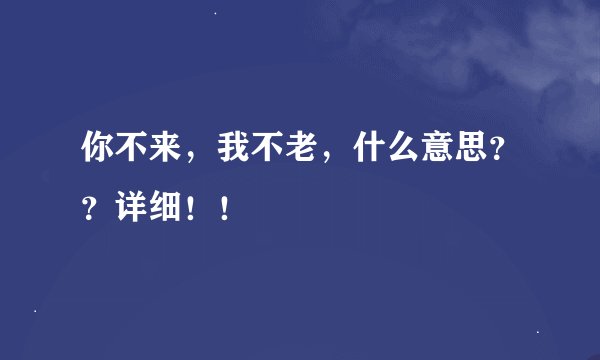 你不来，我不老，什么意思？？详细！！