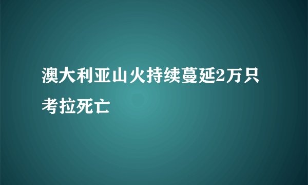 澳大利亚山火持续蔓延2万只考拉死亡