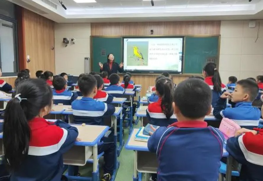我是啥意思