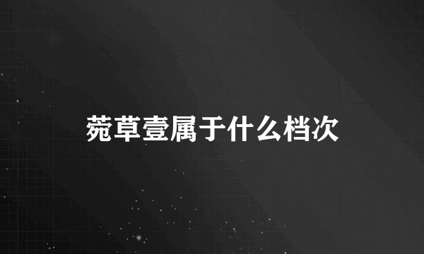 菀草壹属于什么档次