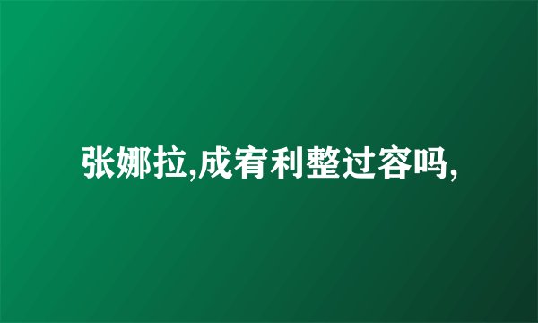 张娜拉,成宥利整过容吗,
