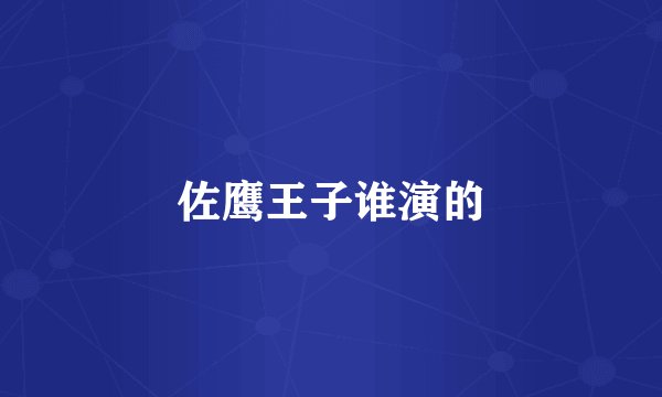 佐鹰王子谁演的