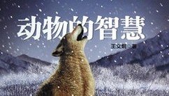 装死卖活什么意思