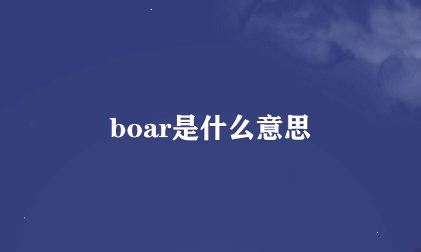 boar是什么意思
