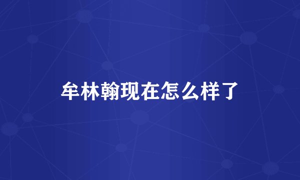 牟林翰现在怎么样了