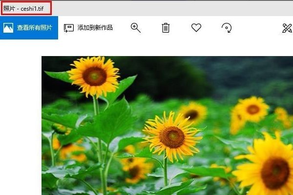 tif格式如何打开？