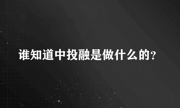 谁知道中投融是做什么的？