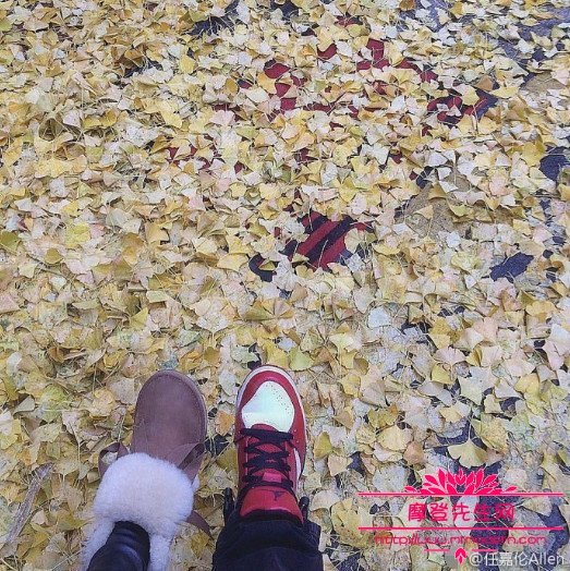 广平王任嘉伦女友聂欢多高，聂欢父母是干什么的