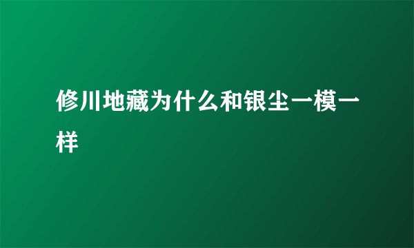 修川地藏为什么和银尘一模一样