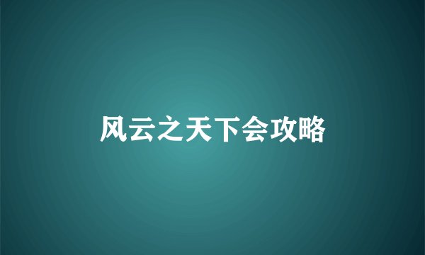 风云之天下会攻略