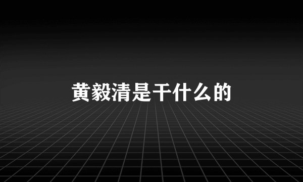 黄毅清是干什么的