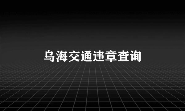乌海交通违章查询