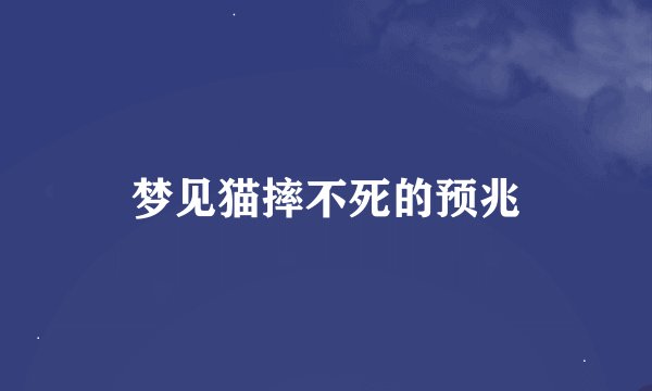 梦见猫摔不死的预兆