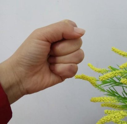 数字手势0到10的手势