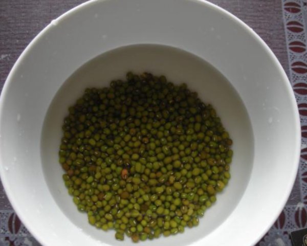 绿豆的前七天生长变化记录表？？？？？要有内容！！！！！