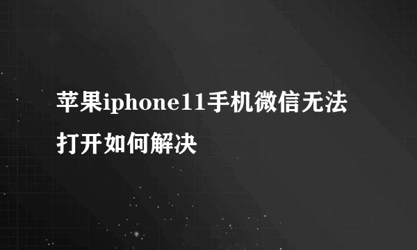 苹果iphone11手机微信无法打开如何解决