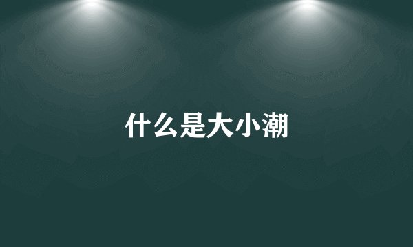 什么是大小潮