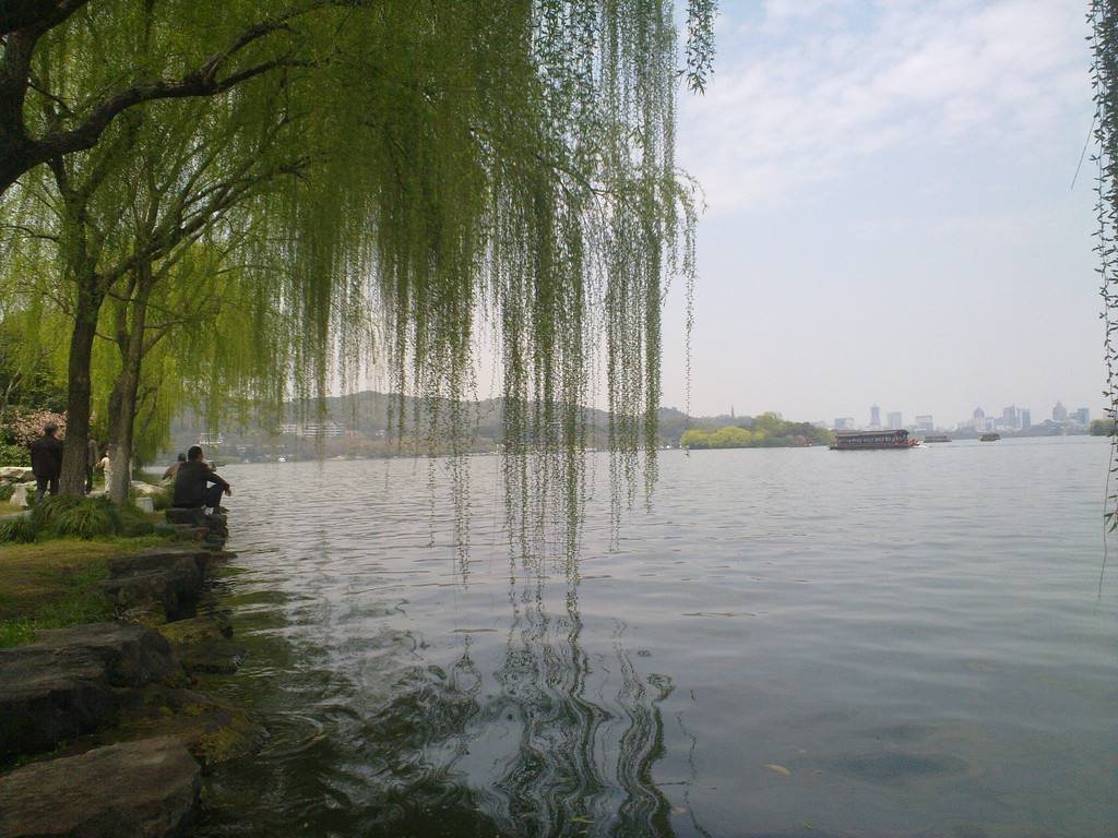 西湖边柳树换月季,杭州市民的意见为什么这么大?