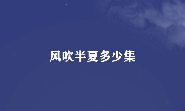 风吹半夏多少集
