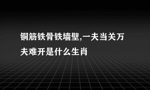 铜筋铁骨铁墙壁,一夫当关万夫难开是什么生肖