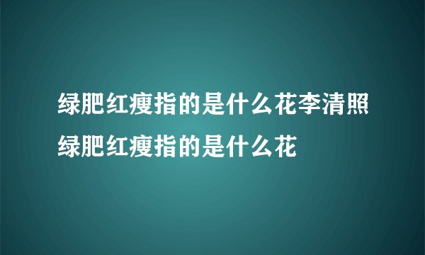 绿肥红瘦指的是什么花李清照绿肥红瘦指的是什么花