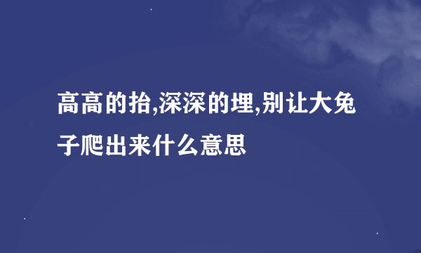 高高的抬,深深的埋,别让大兔子爬出来什么意思
